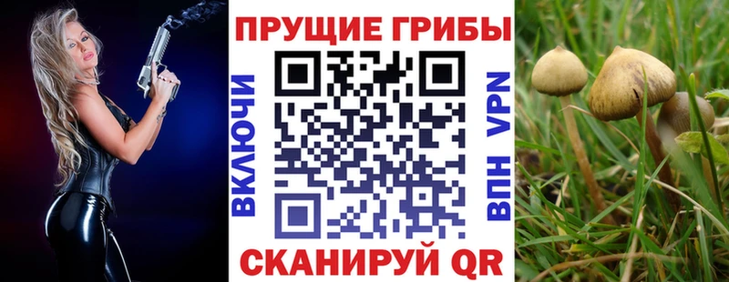 Галлюциногенные грибы прущие грибы  MEGA онион  Златоуст  где можно купить наркотик 